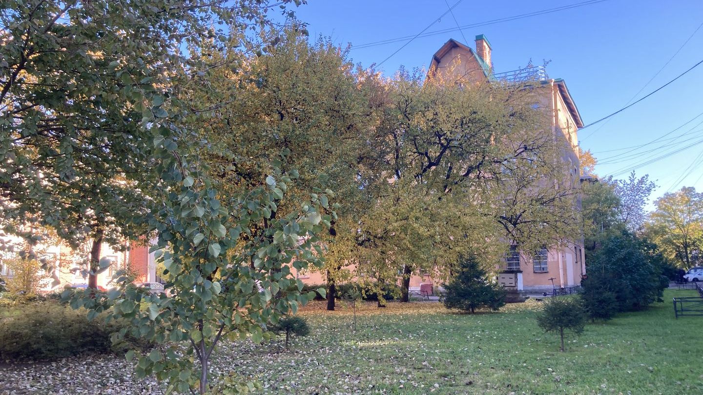 Общежитие Северная Столица, СПб, Лесной пр., 20, к.1